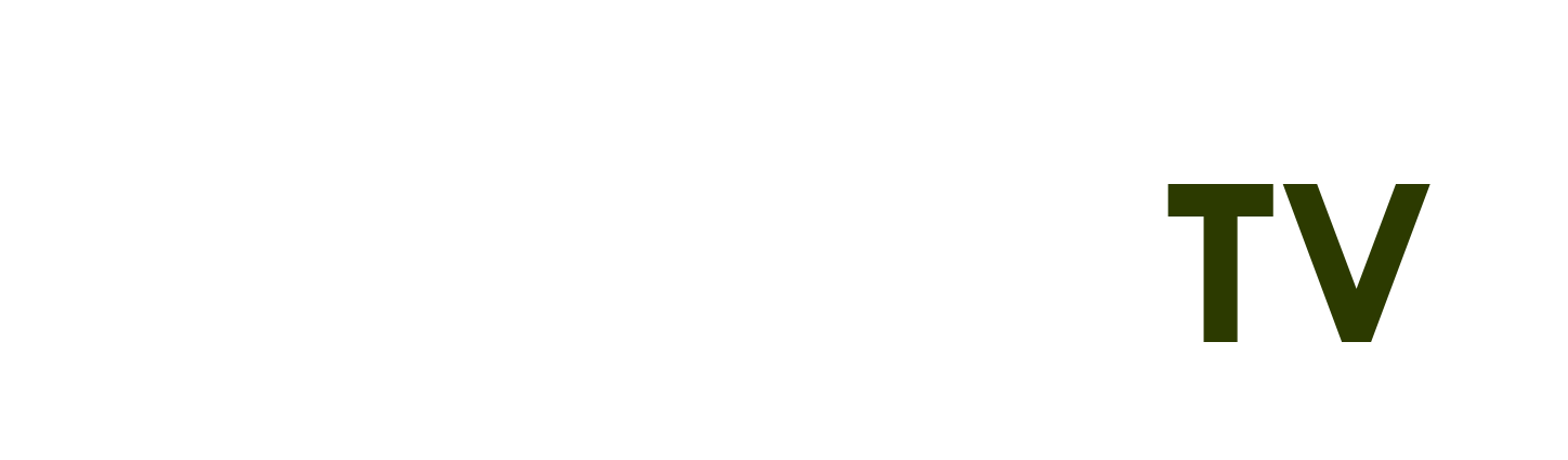 Phwin.appmwinph.com app - Gold99